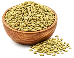 fannel seed (1)